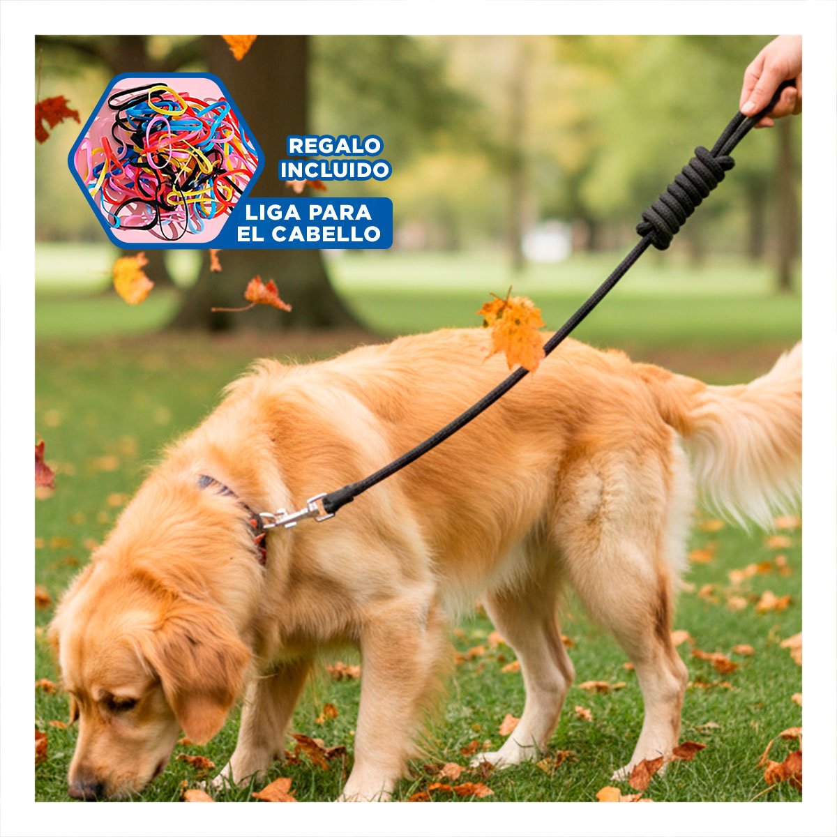 LINEA DE PASEO PARA PERRO EN COLOR NEGRO RESISTENTE Y COMODA PARA USO DIARIO YLIGAS REGALO - 2