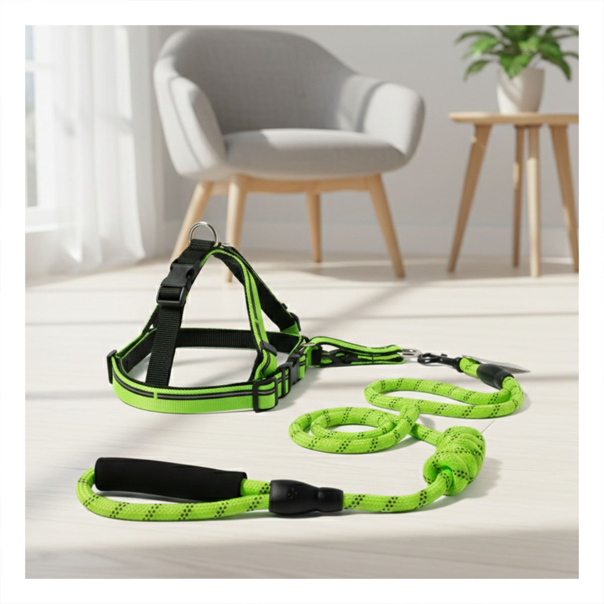 PACK2 SOPORTE DE PASEO CON ARNES Y CORREA 120 CM VERDE - 3