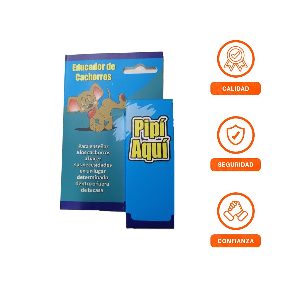 EDUCADOR SUAVE Y SEGURO QUE FACILITA LA ADAPTACION DE MASCOTAS AL HOGAR CELESTE YSTICKY - 5