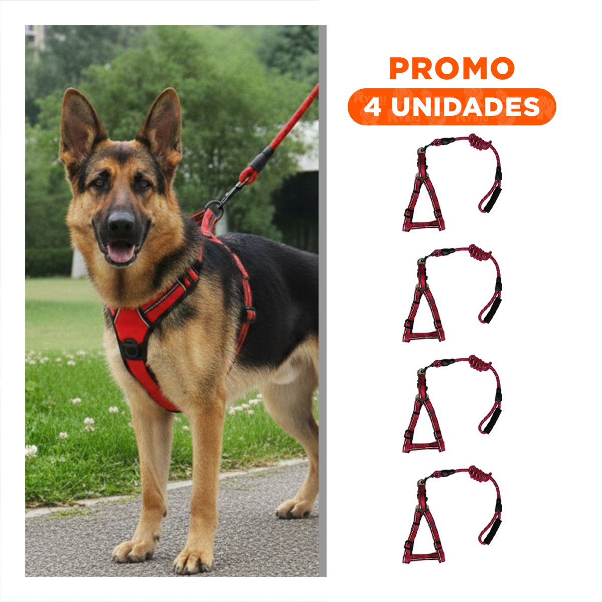PACK4 PECHERA DE PASEO CON AJUSTE PRECISO 120CM ROJO - 1