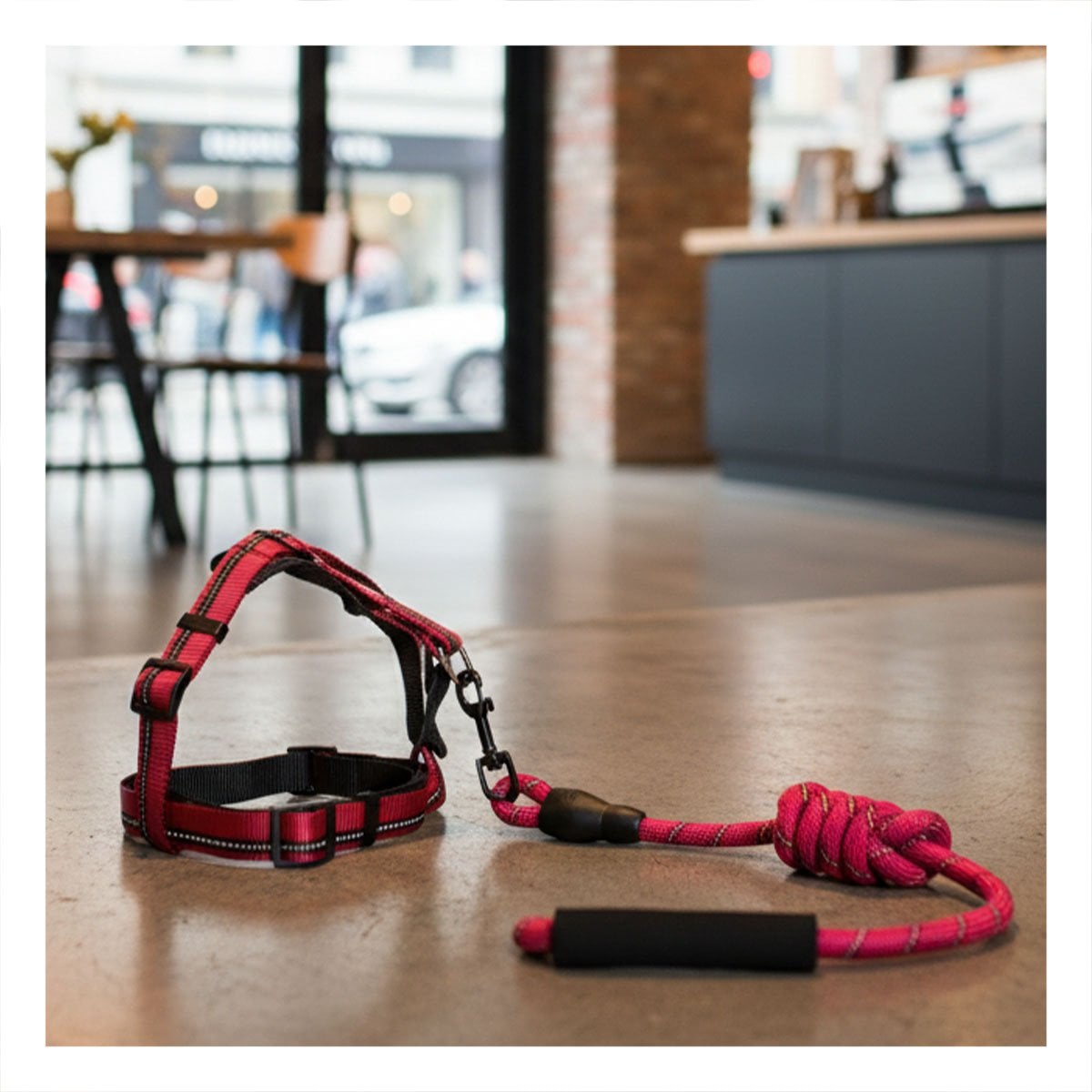 PACK4 PECHERA DE PASEO CON AJUSTE PRECISO 120CM ROJO - 5