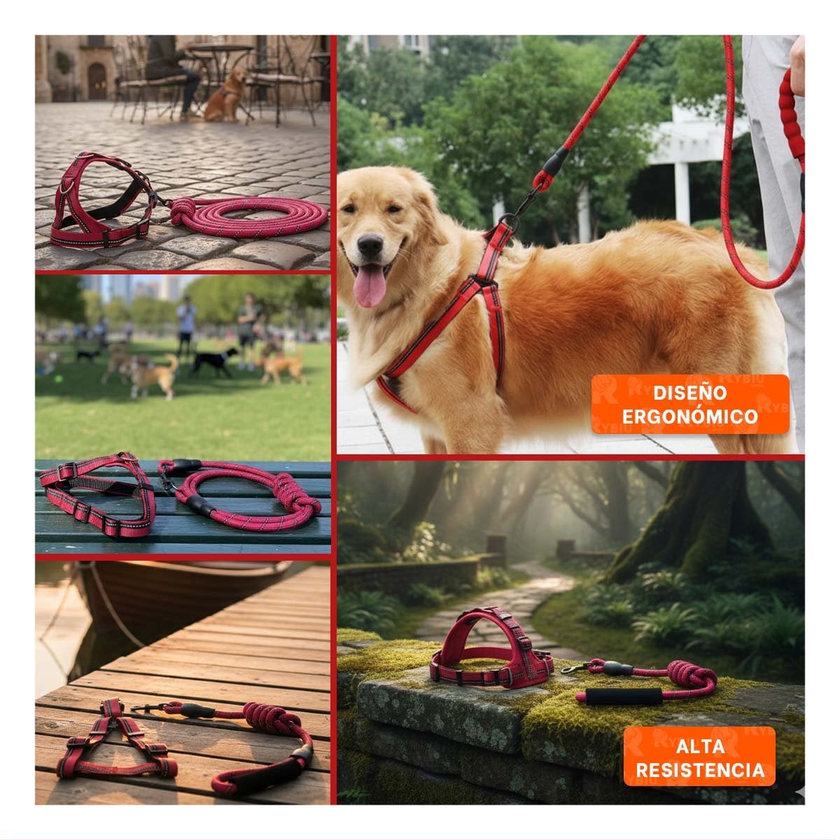 ARNES DE PASEO CON CINTURA FLEXIBLE Y AJUSTE SEGURO 120CM ROJO YSTICKY - 2