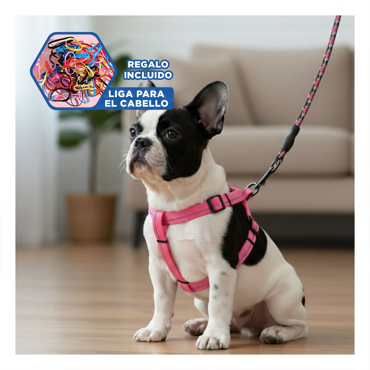 ARNES PRACTICO PARA ENTRENAMIENTO Y PASEOS CORTOS 120CM ROSADO YLIGAS REGALO - 2