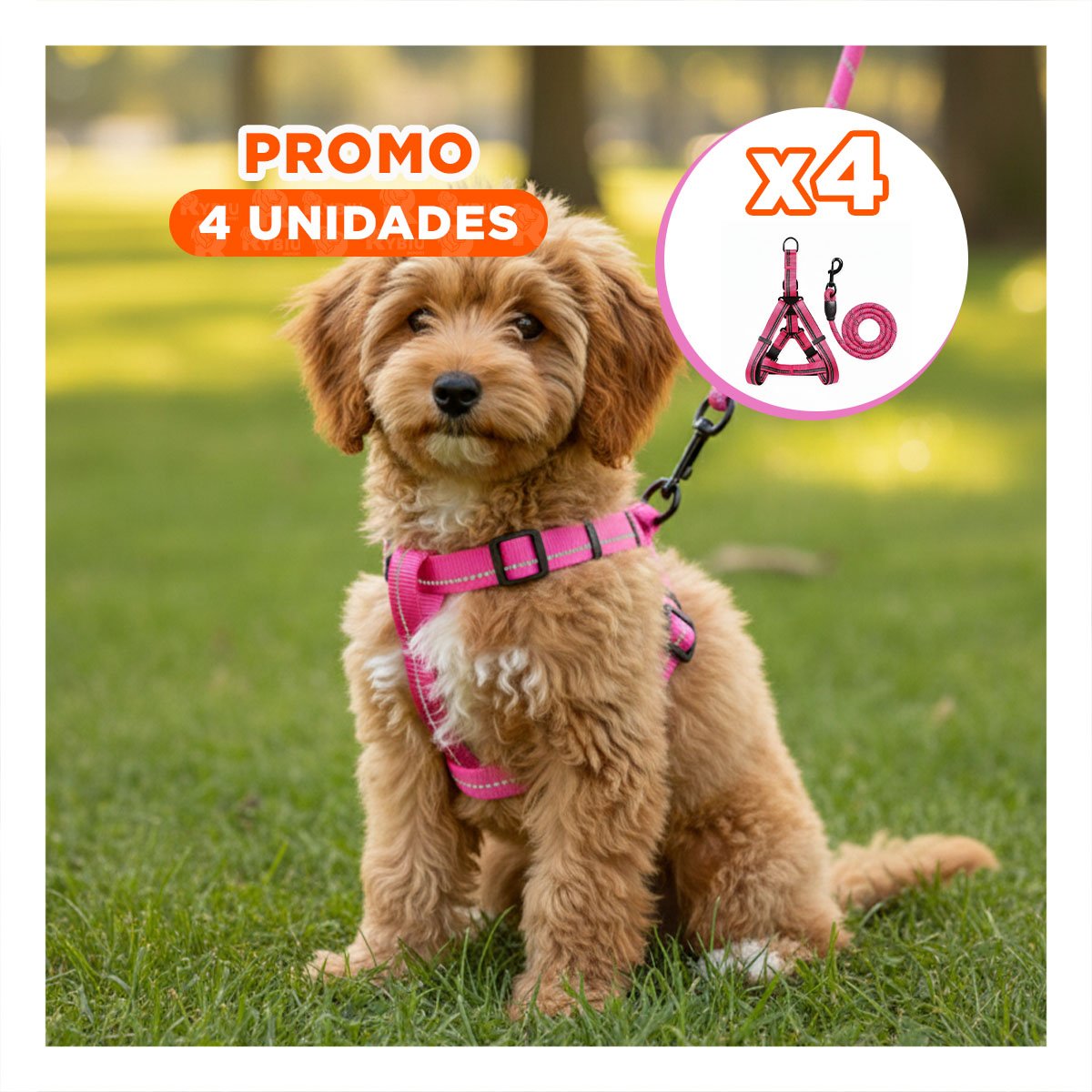 PACK4 CORREA DE SUJECION RESISTENTE Y COMODA PARA PASEOS 120CM ROSADO YREGALO STICKER - 1