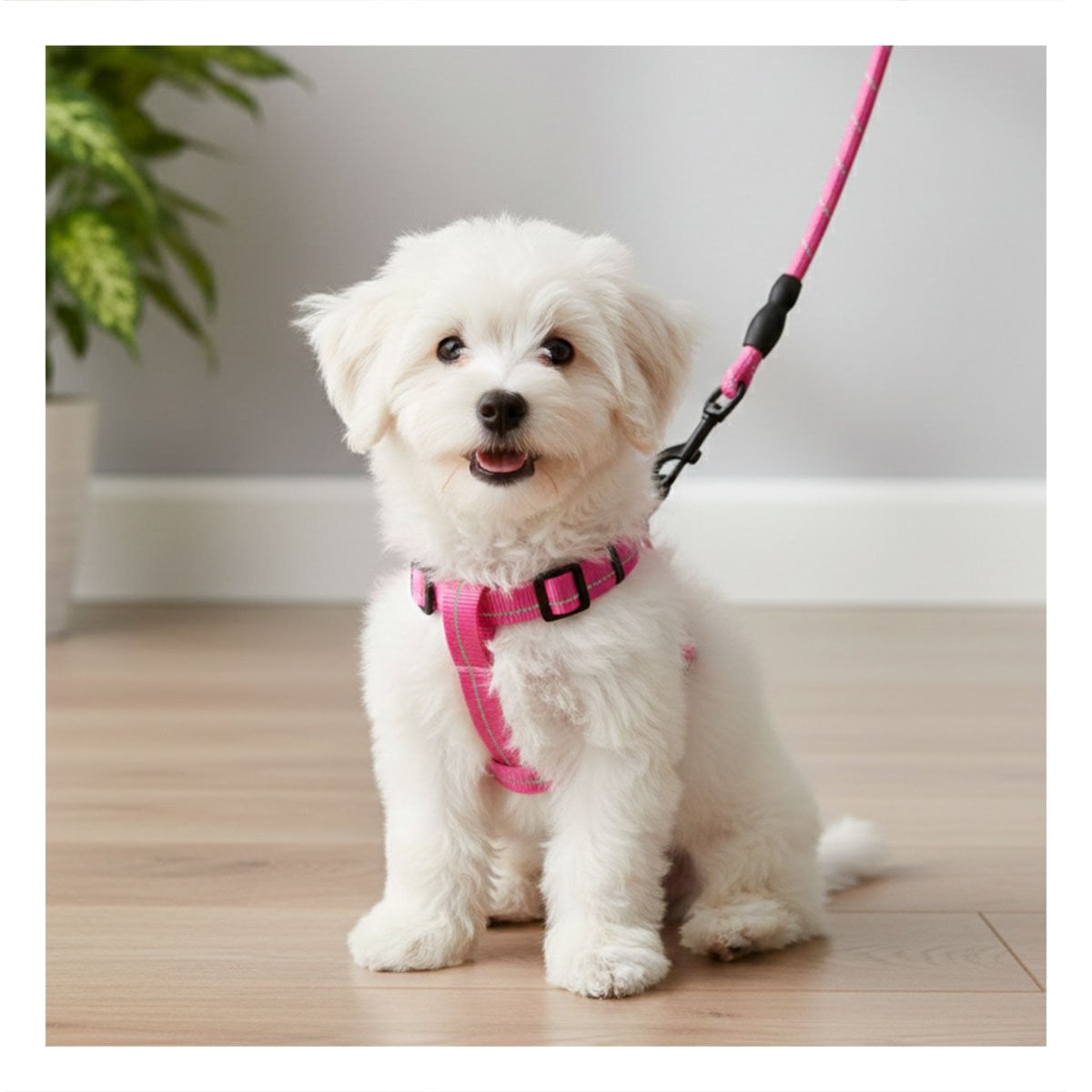 ARNES SUAVE Y RESISTENTE PARA MASCOTAS ACTIVAS 120CM ROSADO YREGALO STICKER - 1