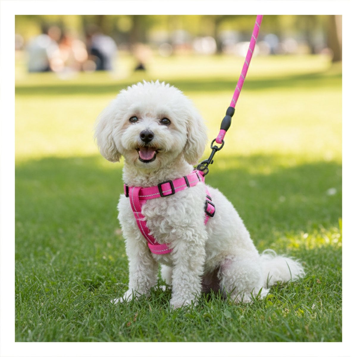 ARNES SUAVE Y RESISTENTE PARA MASCOTAS ACTIVAS 120CM ROSADO YREGALO STICKER - 2