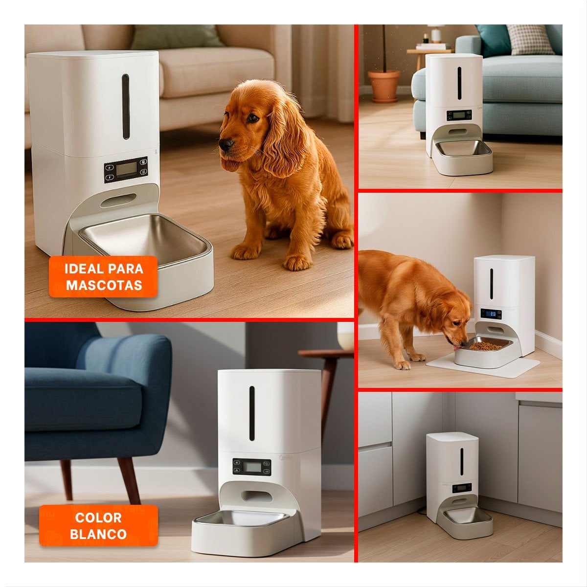 EQUIPO AUTOMATICO DE ALIMENTACION PARA MASCOTA BLANCO MODERNO Y FUNCIONAL YLIGAS REGALO - 1