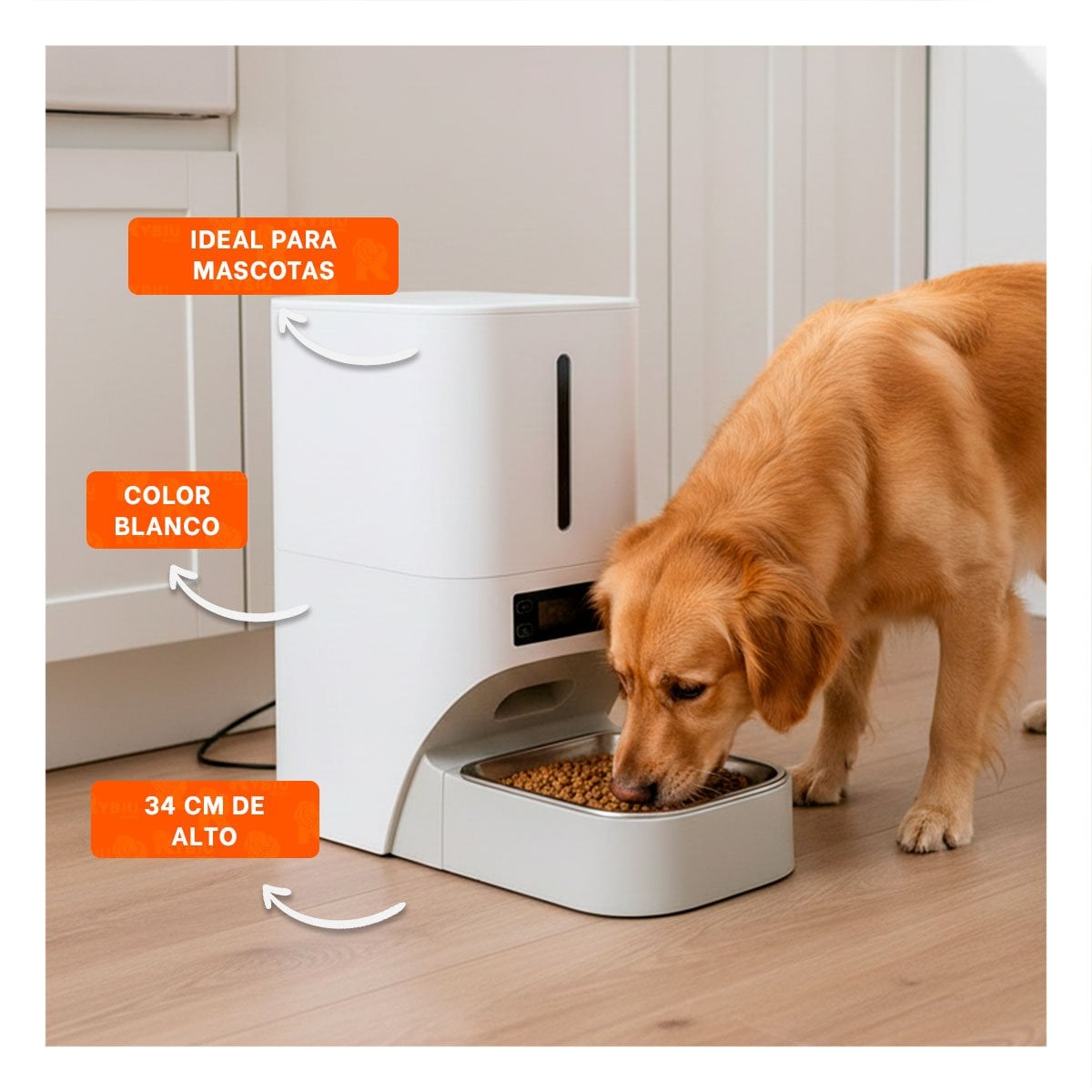 DOSIFICADOR AUTOMATICO DE COMIDA PARA PERRO BLANCO FUNCIONAL Y SEGURO YPAPEL REGALO - 2