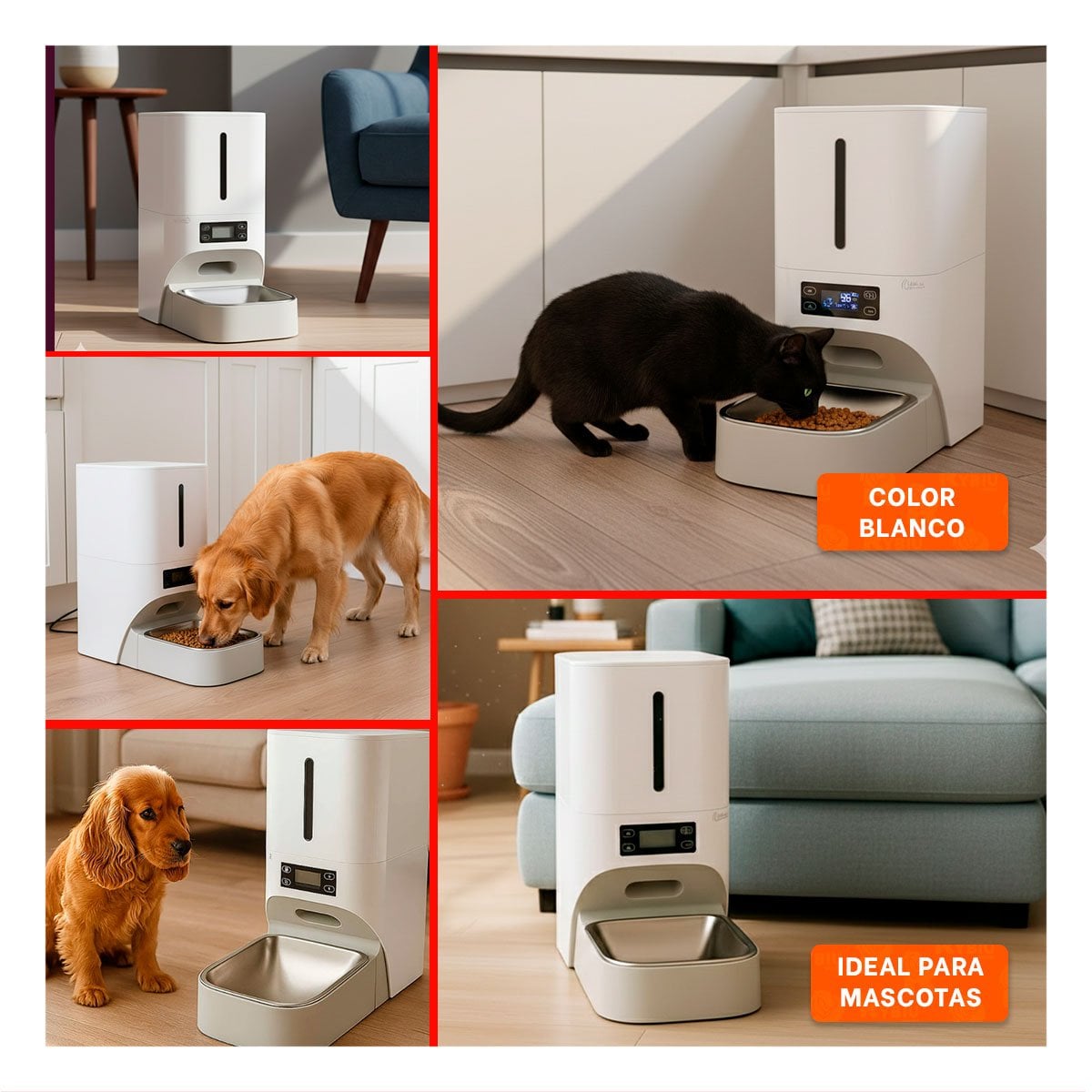 DOSIFICADOR AUTOMATICO DE COMIDA PARA PERRO BLANCO FUNCIONAL Y SEGURO YPAPEL REGALO - 3