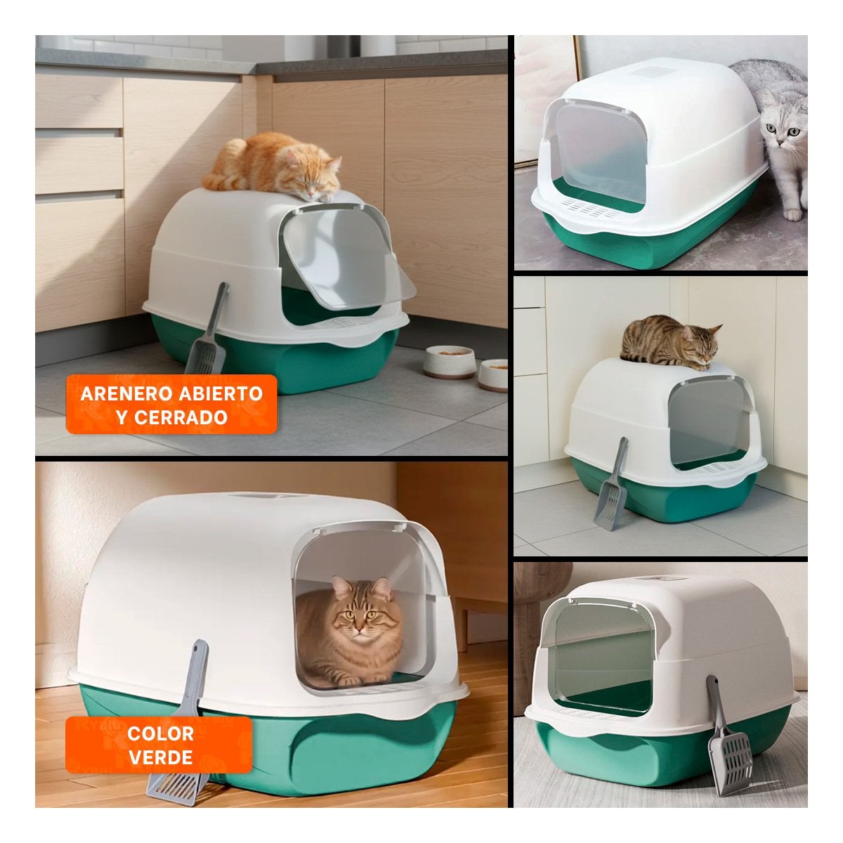PACK4 BASE HIGIENICA ABIERTA Y CERRADA 2 EN 1 PARA GATO VERDE PRACTICA YREGALO STICKER - 2
