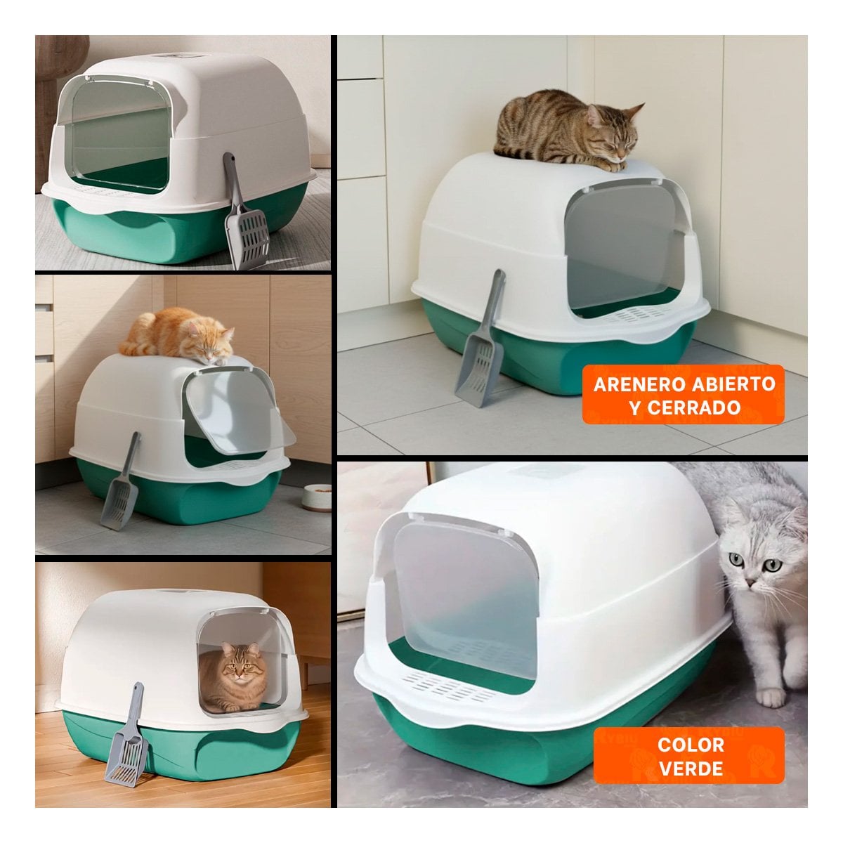 MODULO PARA GATO ABIERTO Y CERRADO 2 EN 1 VERDE CON FORMA AMPLIA Y RESISTENTE YLIGAS REGALO - 1