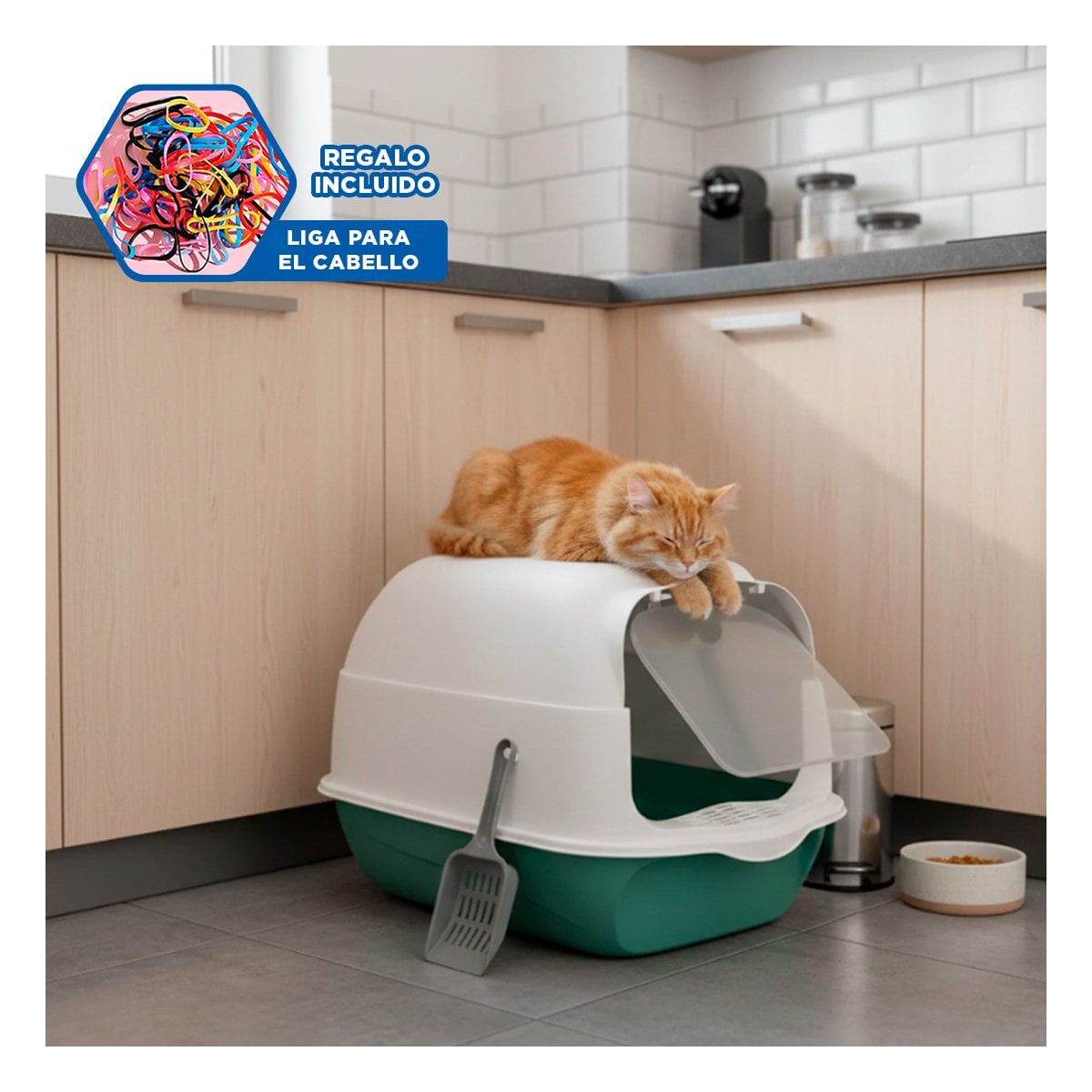 MODULO PARA GATO ABIERTO Y CERRADO 2 EN 1 VERDE CON FORMA AMPLIA Y RESISTENTE YLIGAS REGALO - 2