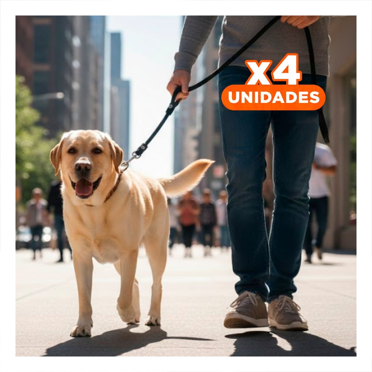 PACK4 CUERDA PARA PERRO QUE PROMUEVE MOVIMIENTO Y DIVERSION 2,10M NEGRO YPAPEL REGALO - 1