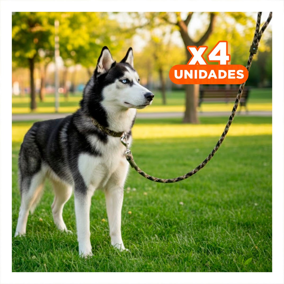 PACK4 CUERDA PARA PERRO PARA MOVIMIENTO 2,10M GROSOR 1,5CM MARRON MILITAR YPAPEL REGALO - 1