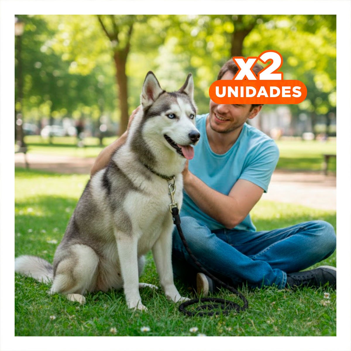 PACK2 CUERDA DE PASEO Y ENTRENAMIENTO SEGURO 2,10M NEGRO YPAPEL REGALO - 1
