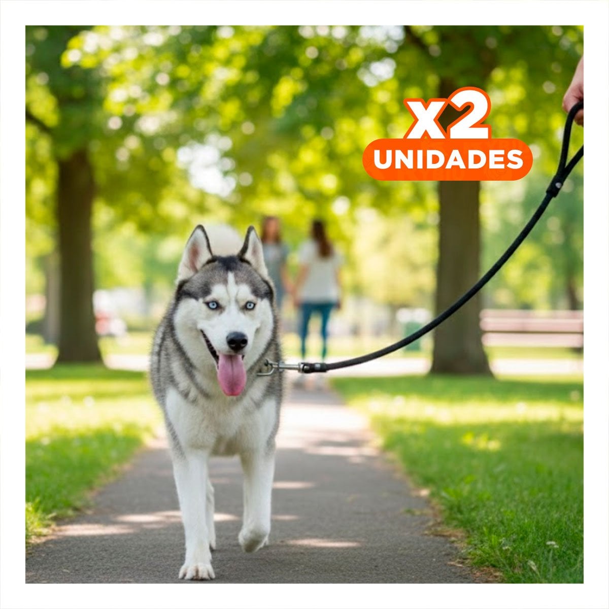 PACK2 CABLE DURADERO QUE MANTIENE PERRO ACTIVO 1,10M NEGRO YPAPEL REGALO - 1