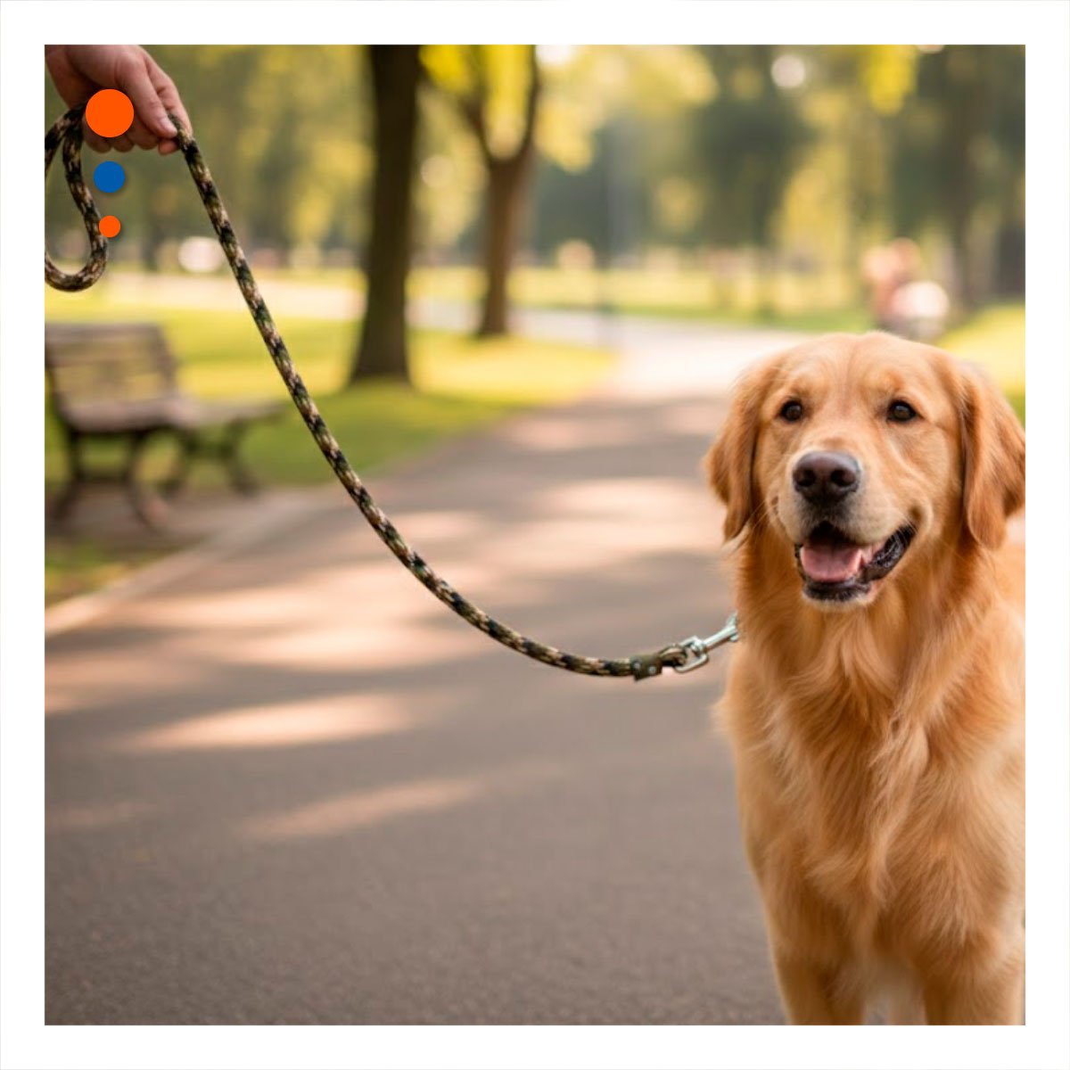 PACK4 CUERDA DURADERA QUE FACILITA PASEOS Y JUEGOS 2,10M GROSOR 1,5CM MARRON MILITAR - 2