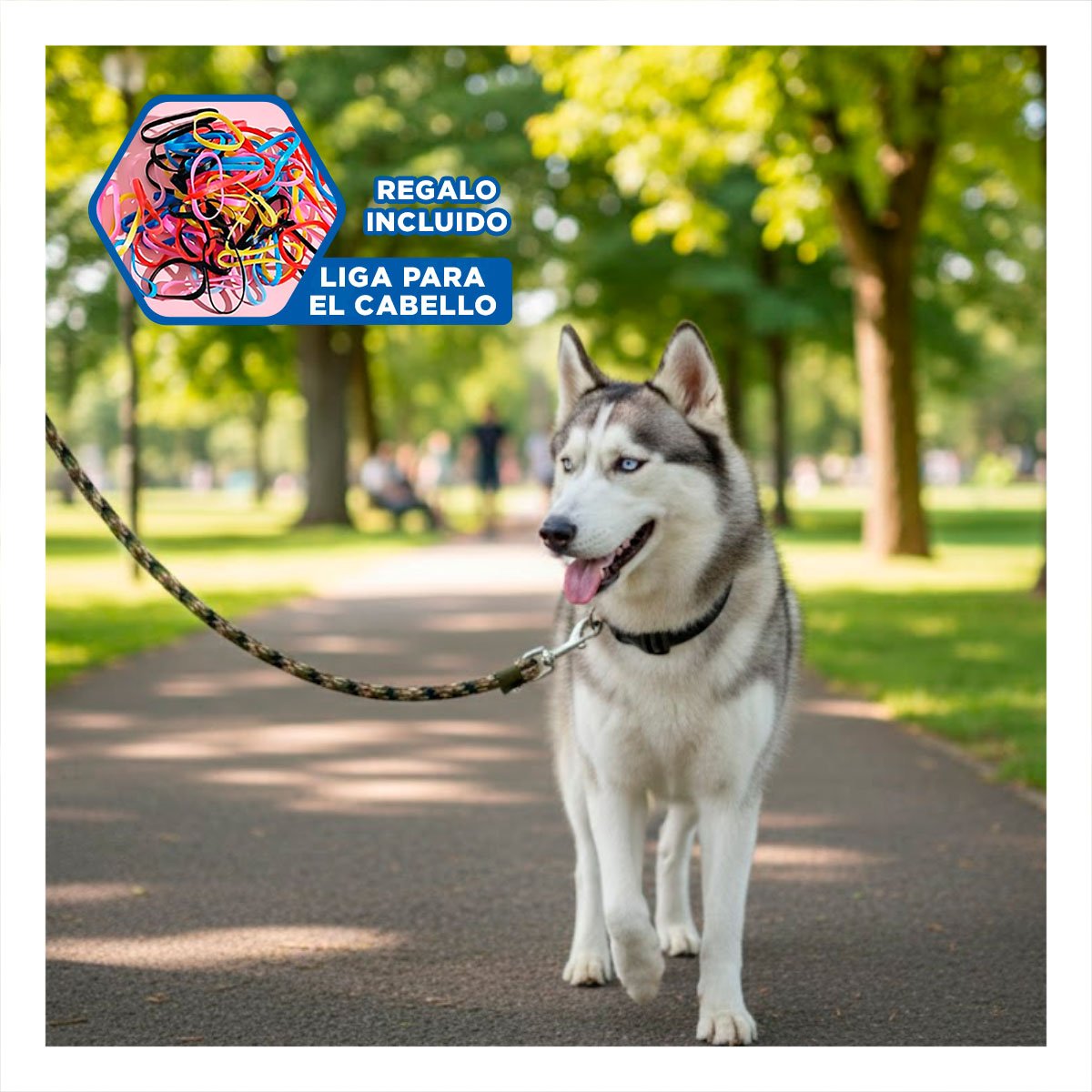 SOGA PARA PERRO QUE FACILITA PASEOS 2,10M GROSOR 1,5CM MARRON MILITAR YLIGAS REGALO - 2