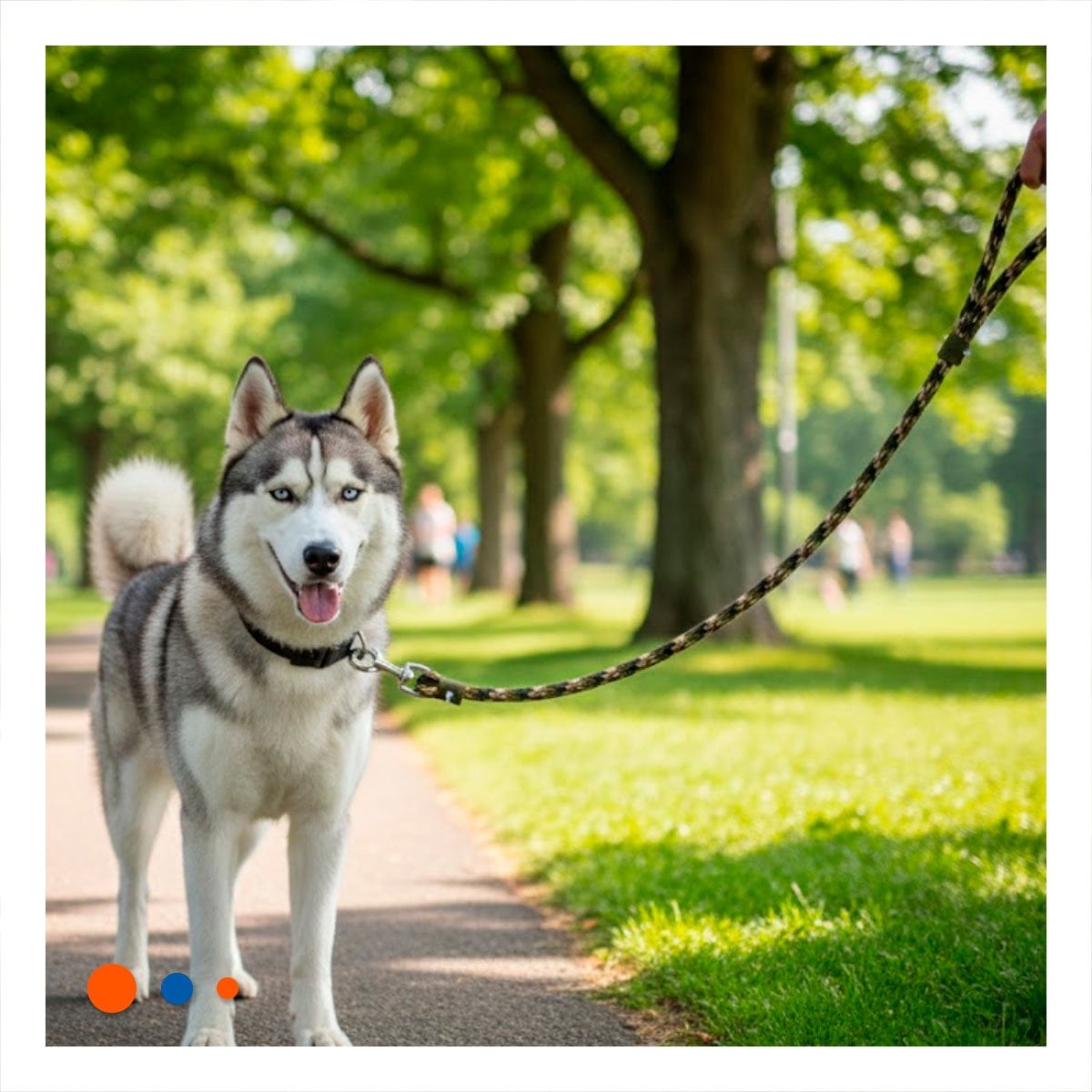 SOGA PARA PERRO QUE FACILITA PASEOS 2,10M GROSOR 1,5CM MARRON MILITAR YLIGAS REGALO - 3