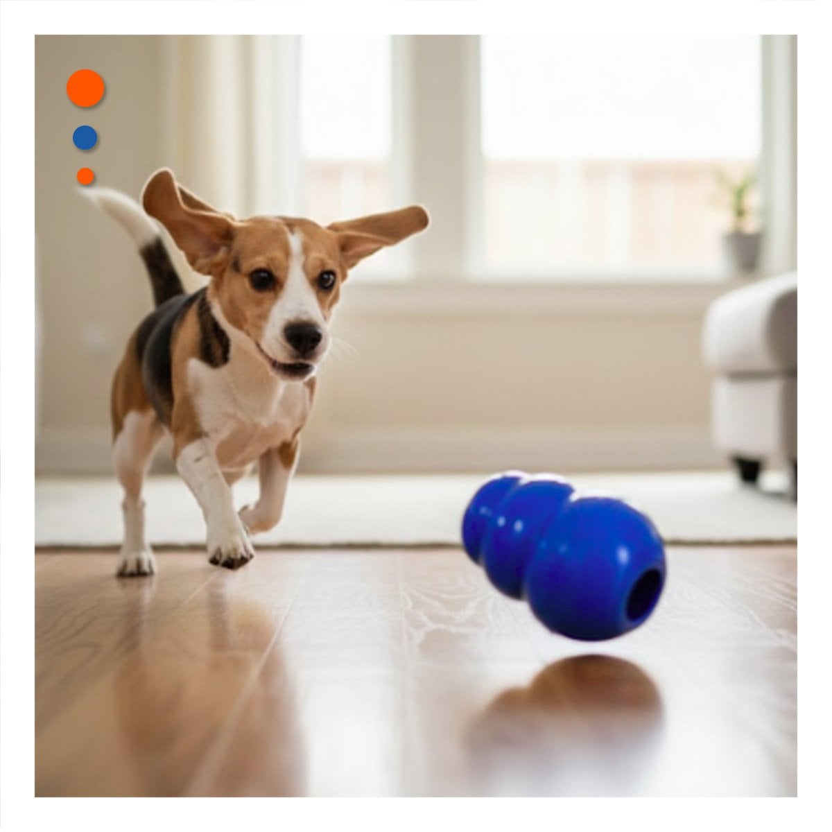 PACK2 INSTRUMENTO DE CAUCHO INTERACTIVO PARA PERRO Y JUEGO 13CM AZUL - 3