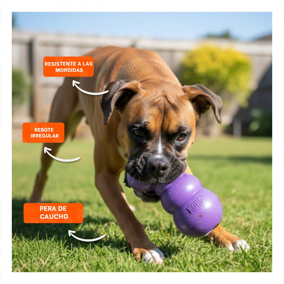 PELOTA DE CAUCHO PARA DIVERSION Y PASEOS AL AIRE LIBRE 10,5CM MORADO YPAPEL REGALO - 2