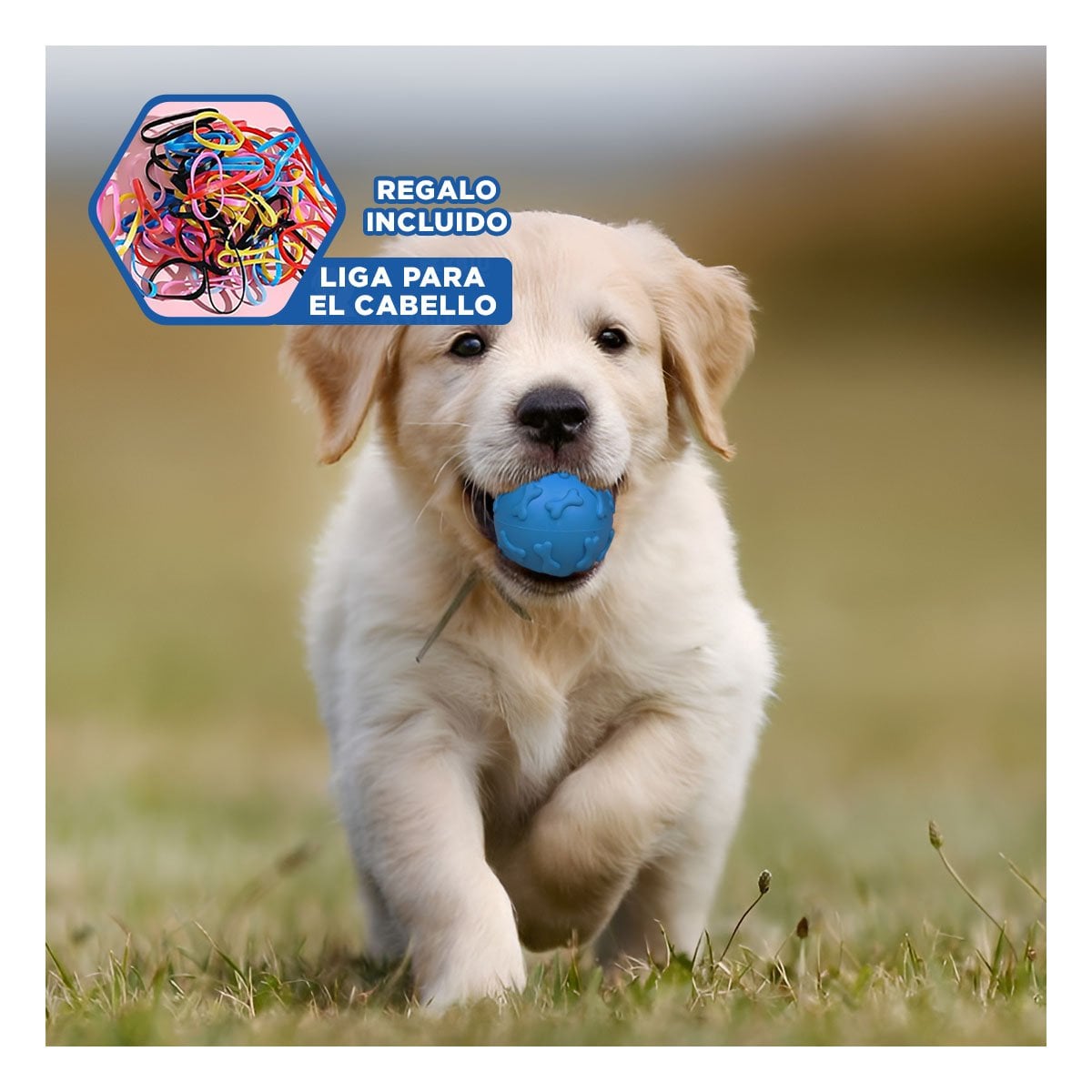 ESFERA RESISTENTE CON DETALLES DE HUESOS PARA PERRO PET CELESTE YLIGAS REGALO - 2