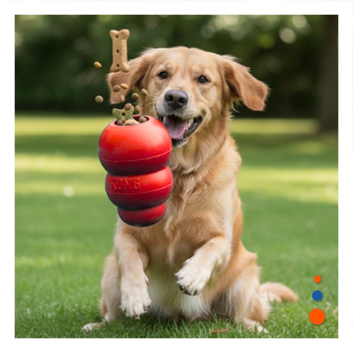 PACK2 COMPLEMENTO DE CAUCHO PARA ACTIVIDAD CANINA Y PASEOS 10.5CM NARANJA - 2