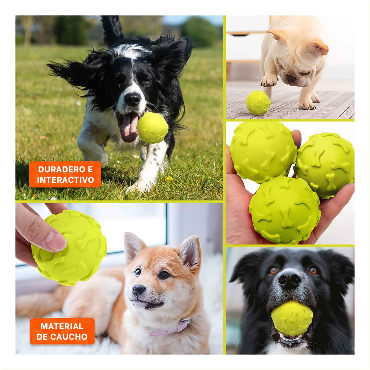 BALON INTERACTIVO PARA PERRO CON GRABADO DE HUESOS VERDE LIMON YLIGAS REGALO - 1