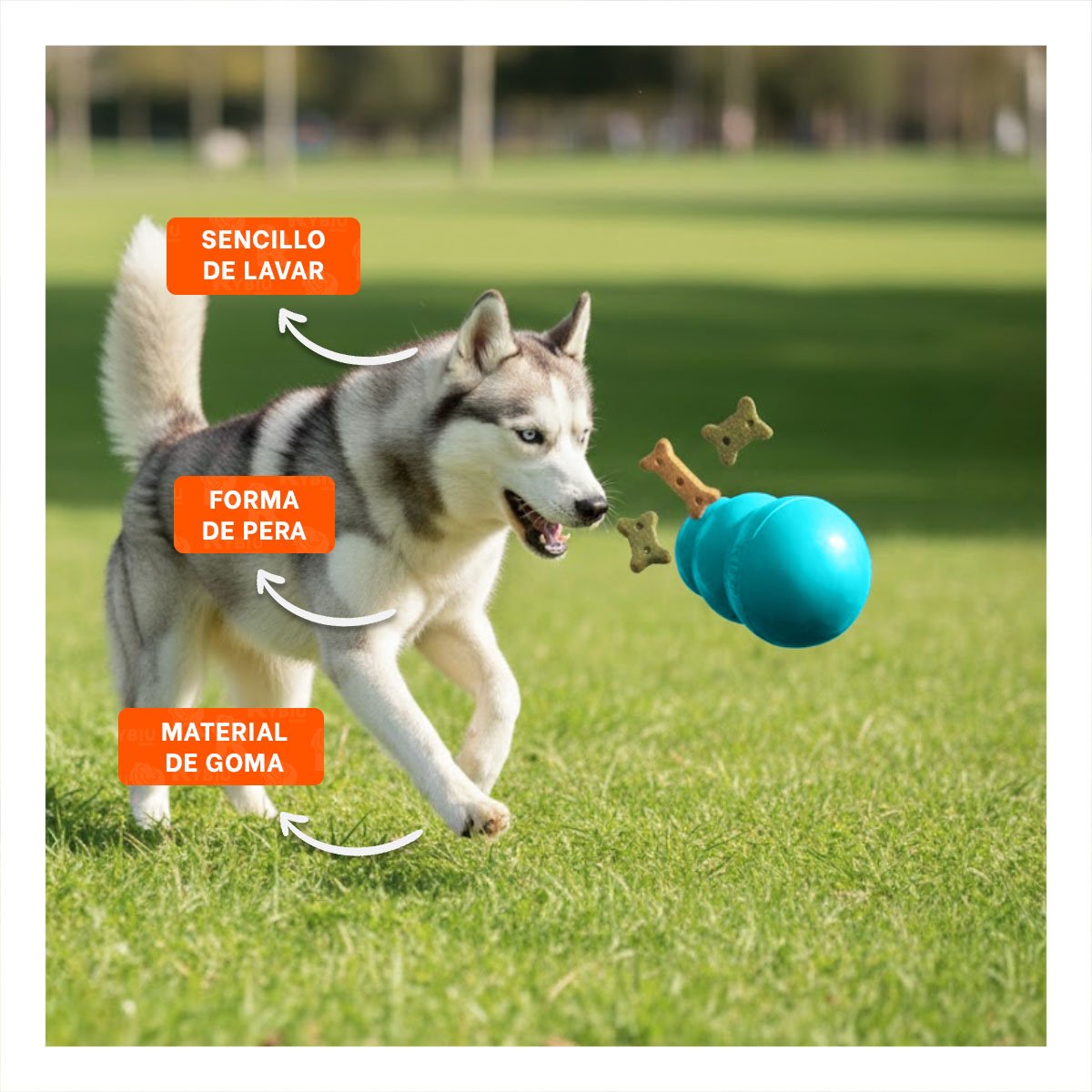 JUGUETE DE CAUCHO RESISTENTE PARA PERRO 13CM CELESTE - 3