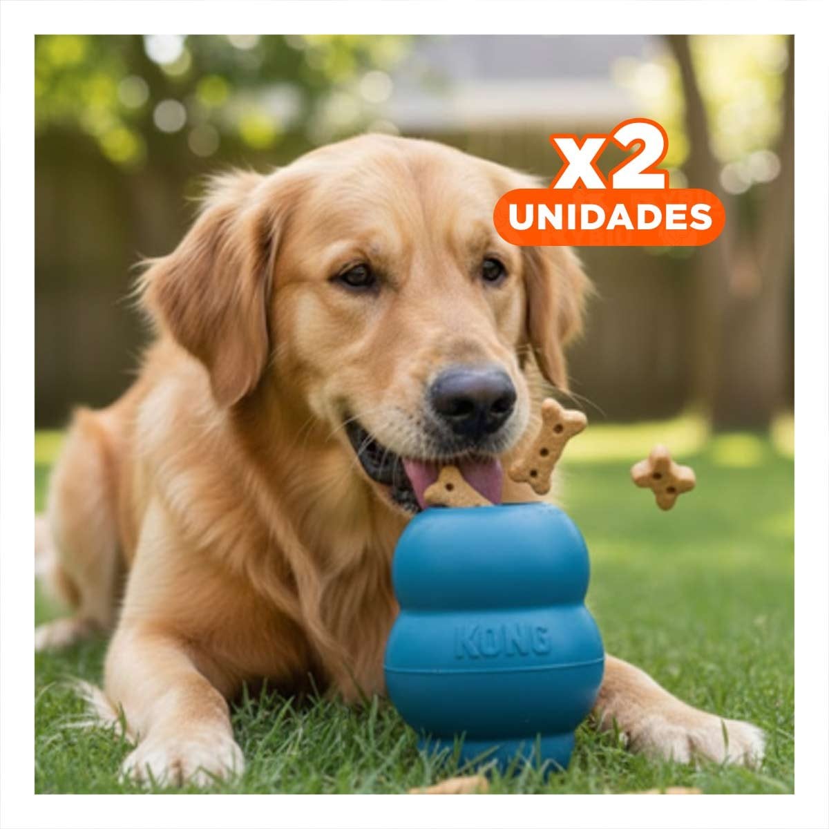 PACK2 PELOTA INTERACTIVA QUE REBOTA Y MANTIENE ACTIVO 13CM CELESTE OSCURO YPAPEL REGALO - 1