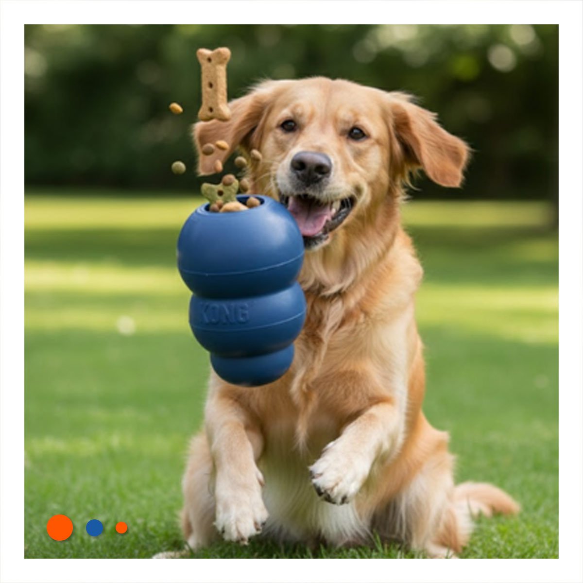 PACK2 PELOTA INTERACTIVA QUE REBOTA Y MANTIENE ACTIVO 13CM CELESTE OSCURO YPAPEL REGALO - 5