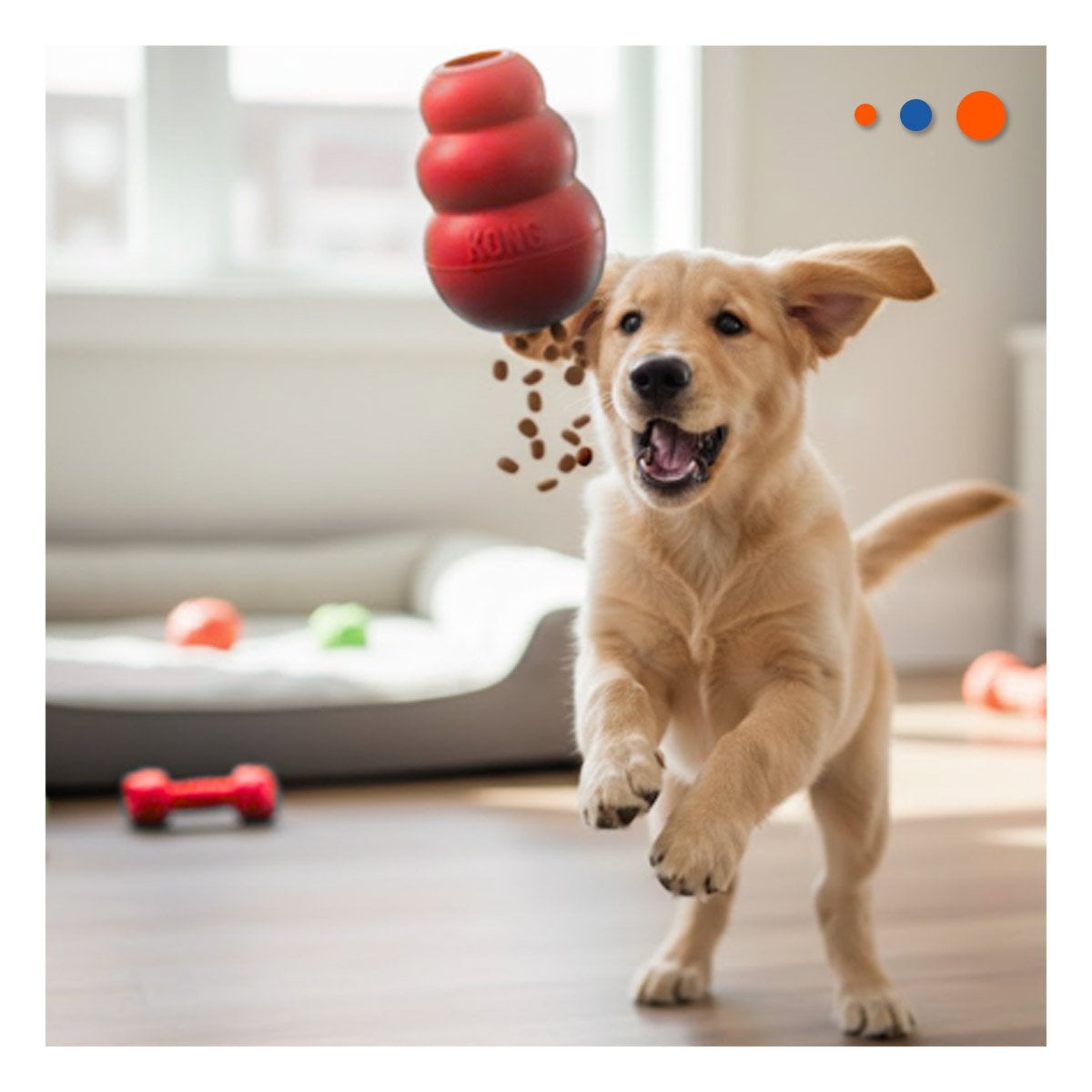 PACK2 COMPLEMENTO RESISTENTE PARA PERROS MASTICAR EN EL PARQUE 10.5CM NARANJA YREGALO STICKER - 5