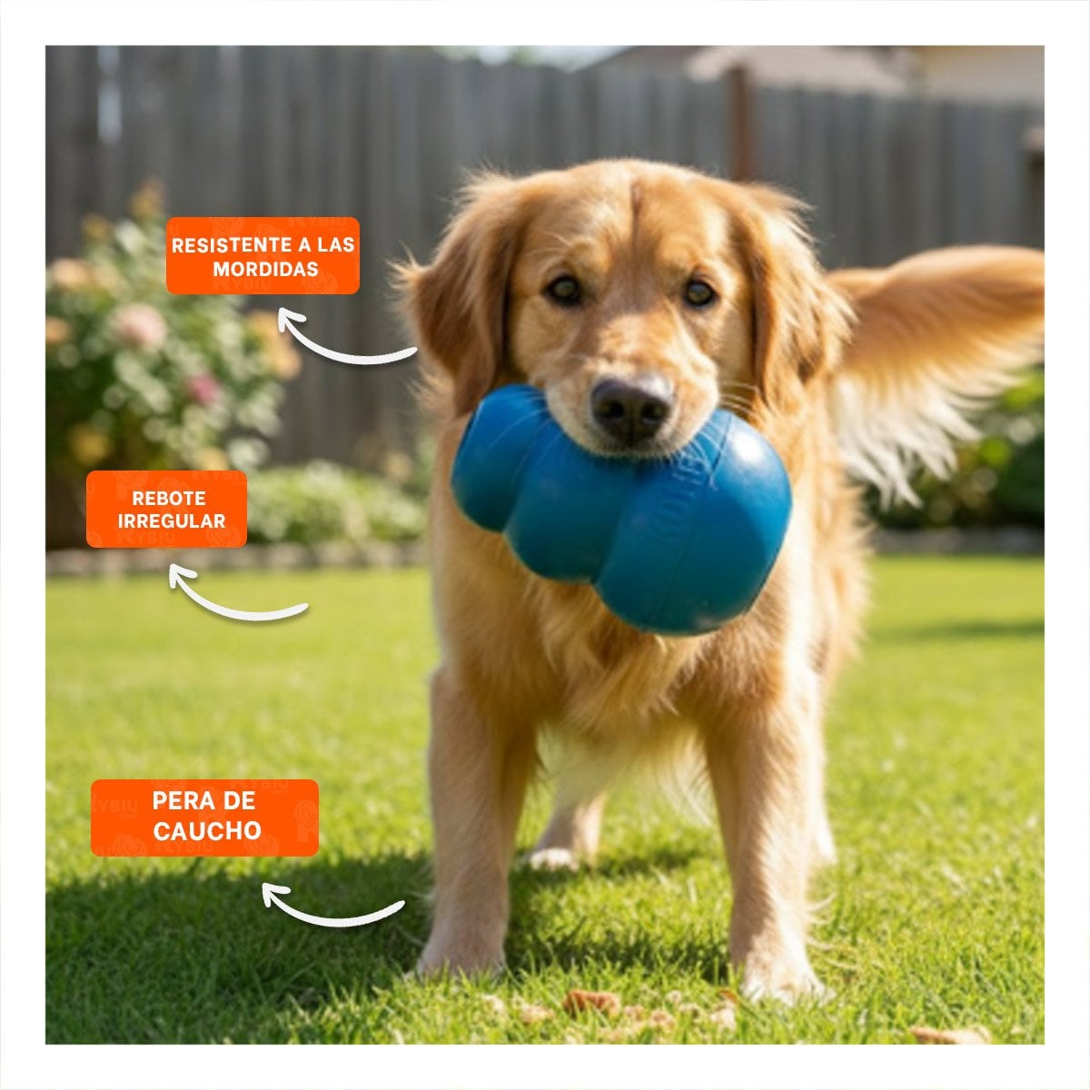 JUGUETE DE CAUCHO RESISTENTE PARA PERRO 13CM CELESTE OSCURO - 3