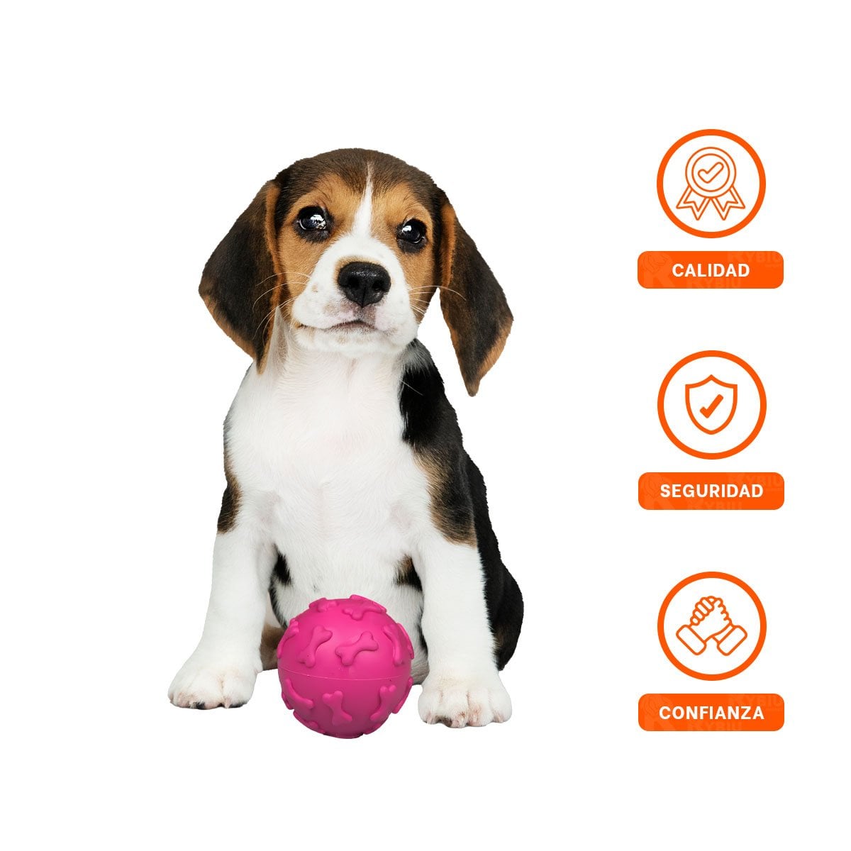 ESFERA DE JUEGO PET CON DETALLE DIVERTIDO DE HUESOS FUCSIA YSTICKY - 5