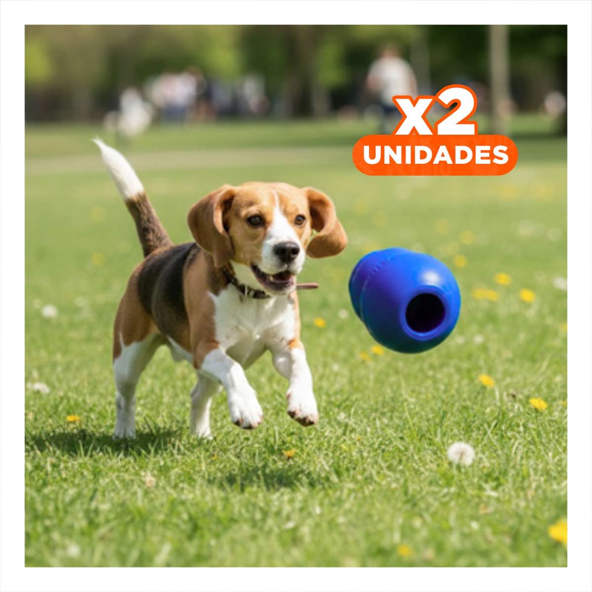 PACK2 INSTRUMENTO RESISTENTE PARA PERROS ACTIVOS AL AIRE LIBRE 13CM AZUL YPAPEL REGALO - 1