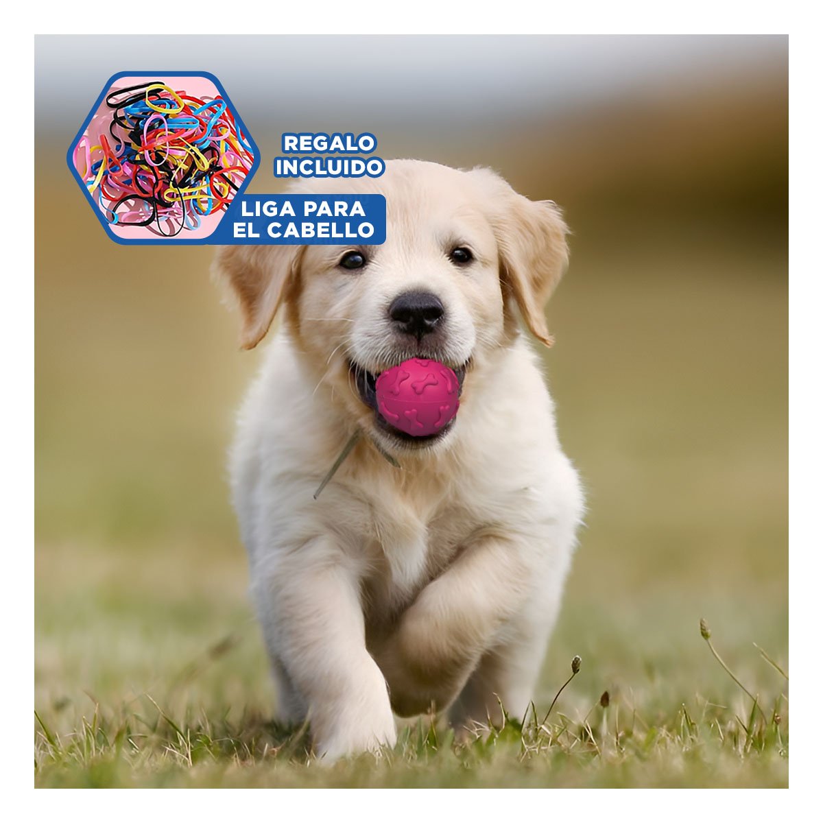 ESFERA DINAMICA PET PARA PERRO CON RELIEVE CREATIVO FUCSIA YLIGAS REGALO - 2