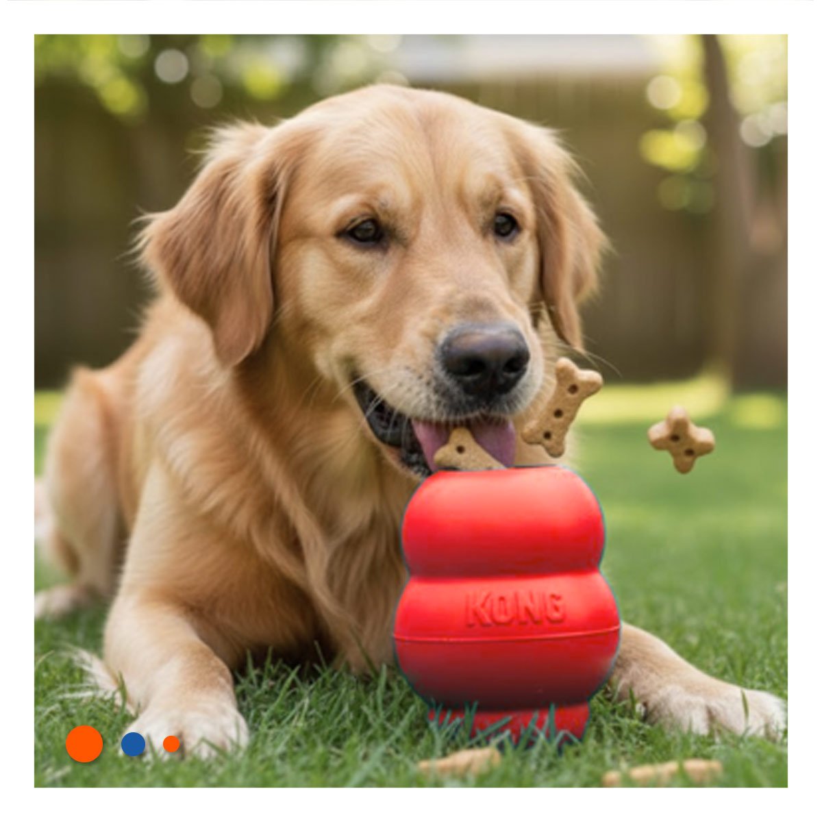 PACK2 COMPLEMENTO INTERACTIVO QUE REBOTA Y DIVIERTE AL PERRO 10.5CM NARANJA YPAPEL REGALO - 5