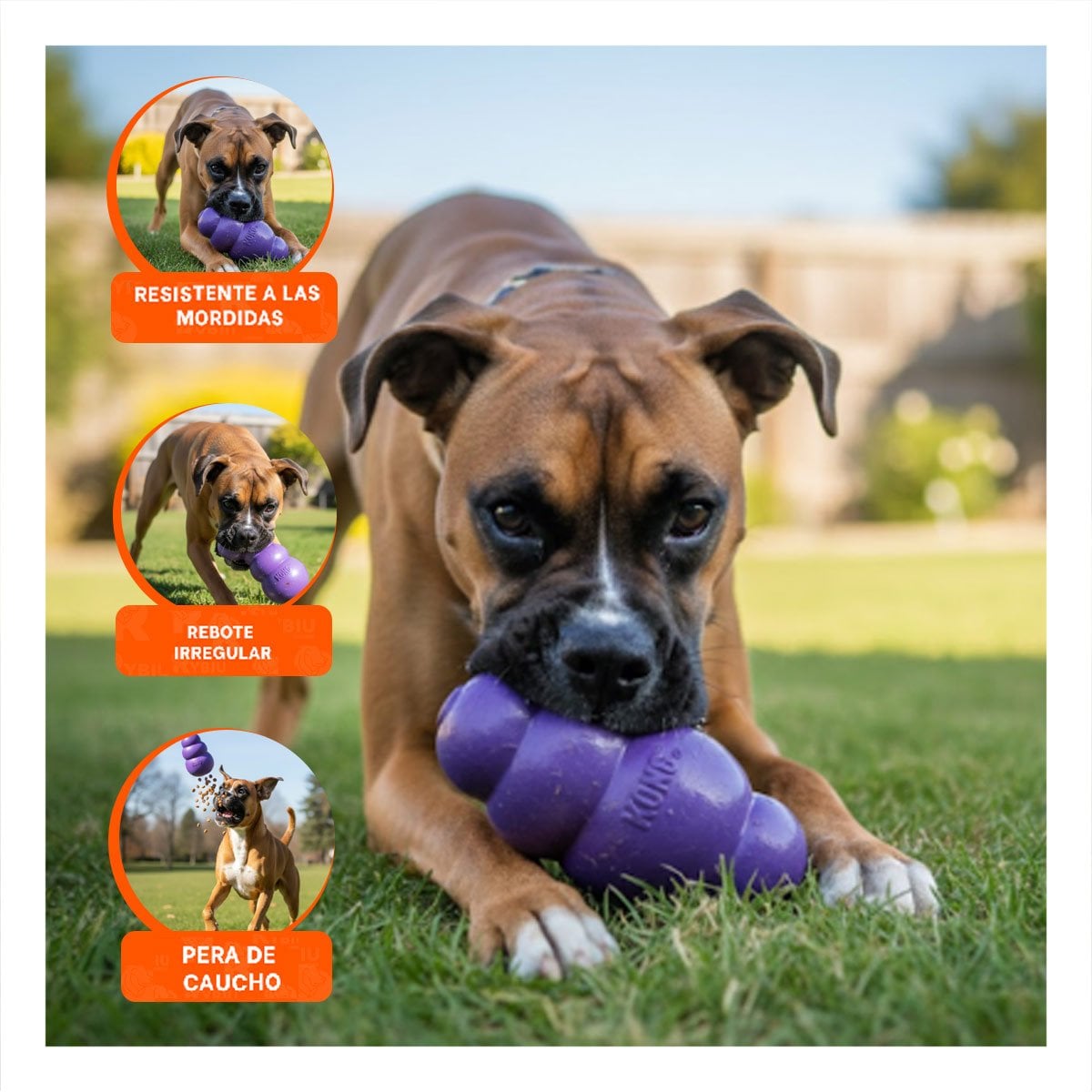 PACK4 ACCESORIO DE CAUCHO QUE PROMUEVE JUEGOS Y PASEOS 10,5CM MORADO YREGALO STICKER - 5