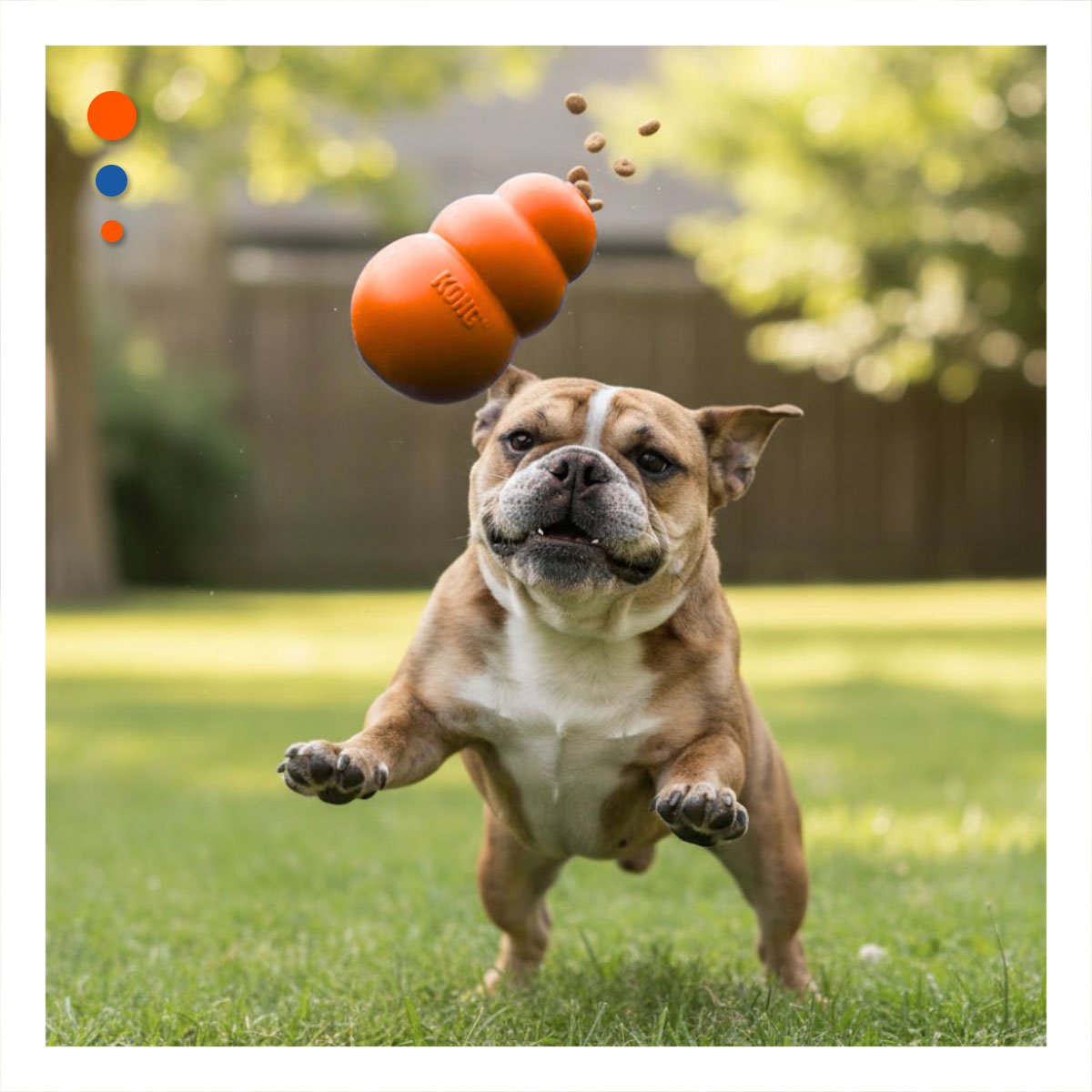 PACK2 PELOTA INTERACTIVA QUE REBOTA Y DIVIERTE GRANDE 13CM NARANJA YPAPEL REGALO - 2