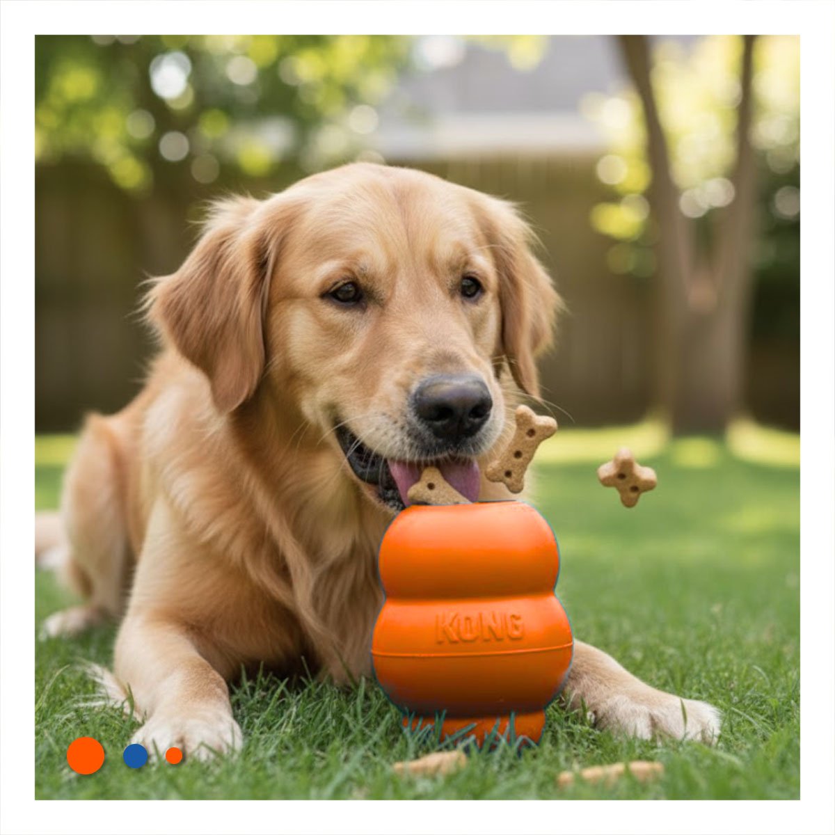 PACK2 PELOTA INTERACTIVA QUE REBOTA Y DIVIERTE GRANDE 13CM NARANJA YPAPEL REGALO - 5