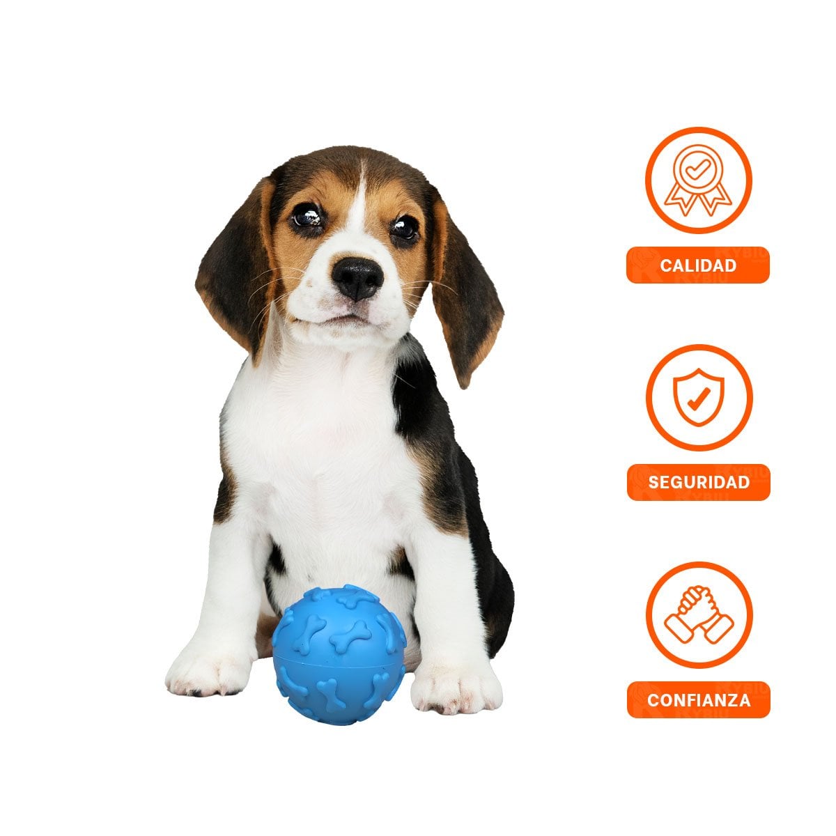 ESFERA COMPACTA CON HUESOS PARA ACTIVIDAD EN CASA PET CELESTE YSTICKY - 5
