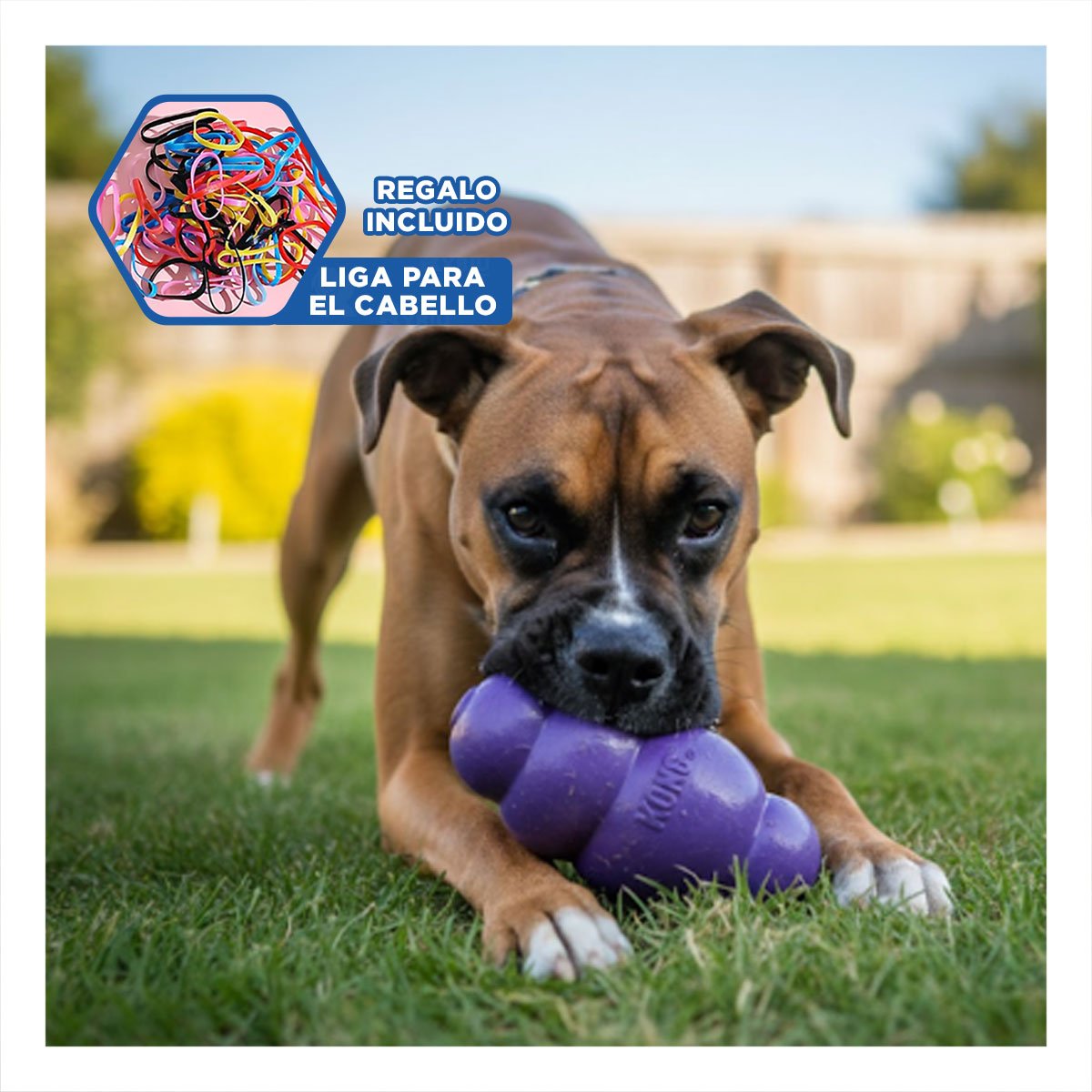 PELOTA DE CAUCHO PARA PASEOS DIVERTIDOS Y ACTIVIDAD 10,5CM MORADO YLIGAS REGALO - 2