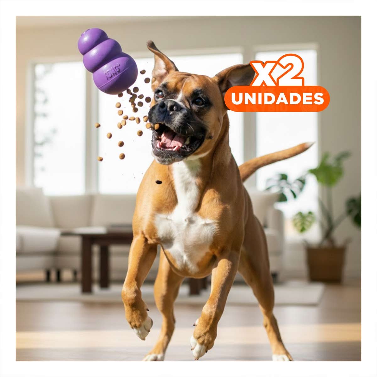 PACK2 BLOQUE DE CAUCHO PARA ENTRETENIMIENTO Y ACTIVIDAD CANINA 10,5CM MORADO YPAPEL REGALO - 1