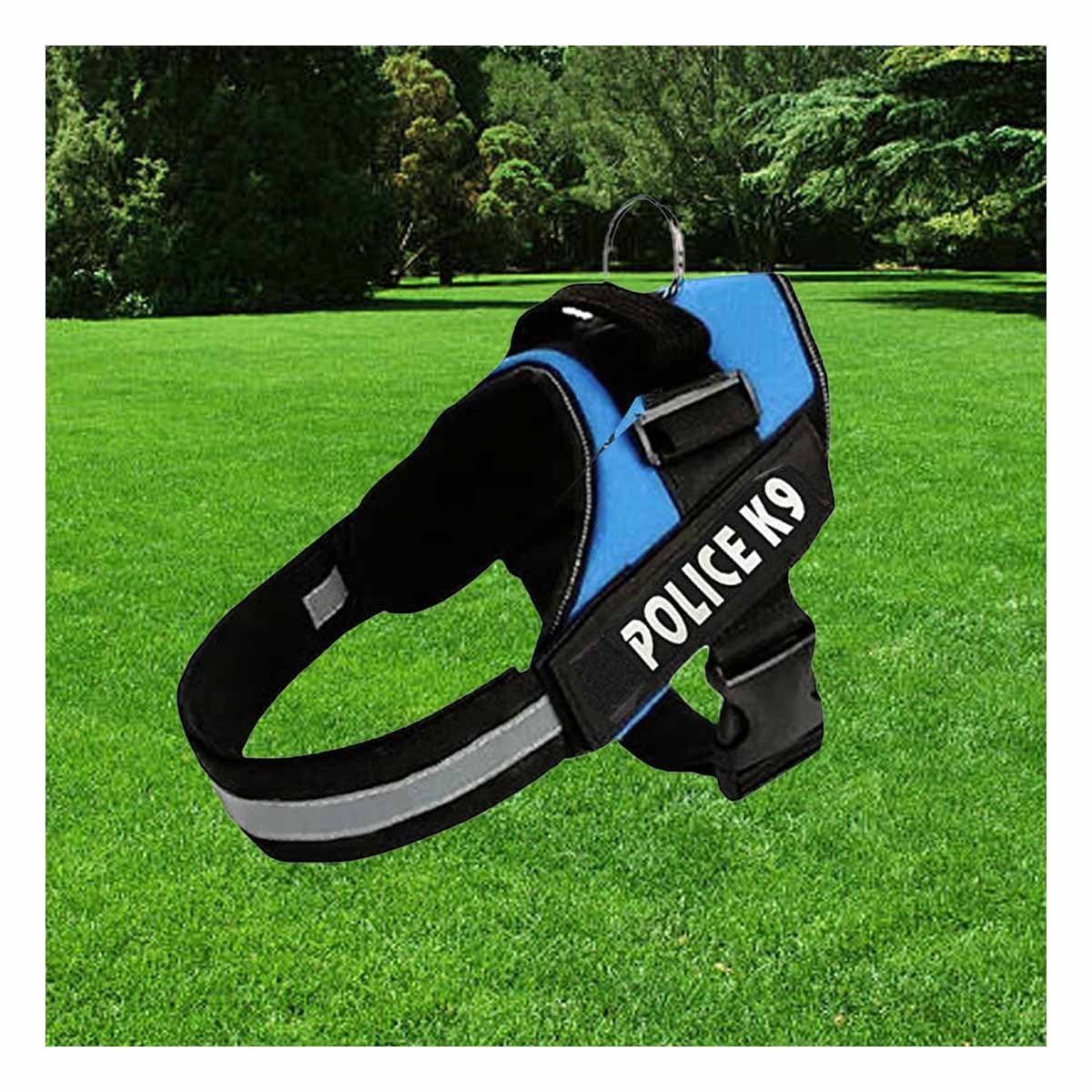 ARNES DE PASEO PARA PERRO TALLA M CON SOPORTE FIRME Y ACABADO MODERNO CELESTE YREGALO STICKER - 3