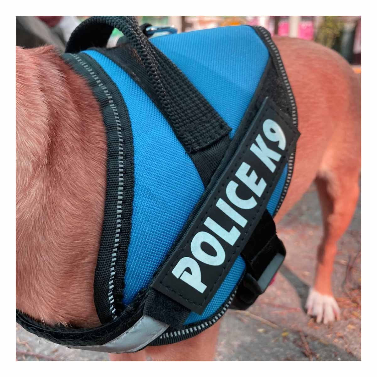 ARNES DE PASEO PARA PERRO TALLA M CON SOPORTE FIRME Y ACABADO MODERNO CELESTE YREGALO STICKER - 5