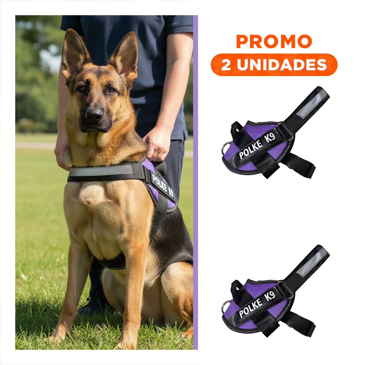 PACK2 CHALECO DE PASEO PARA PERRO TALLA M LIGERO Y AJUSTABLE MORADO YREGALO STICKER - 1