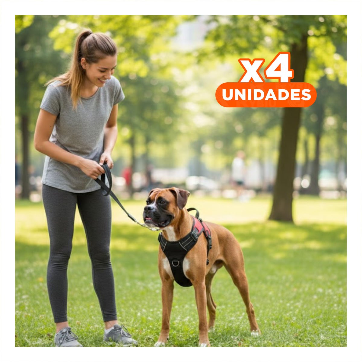 PACK4 PRENDA EN H DE PASEO PARA PERRO TALLA M CON ESTILO MODERNO NEGRO YPAPEL REGALO - 1