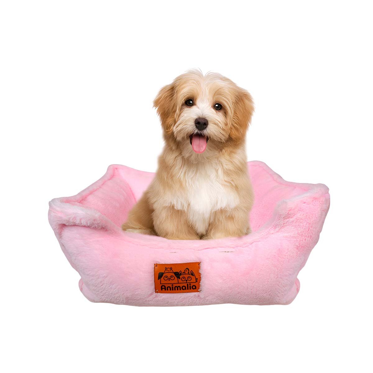 PACK2 LECHO RECTANGULAR CON SUPERFICIE AGRADABLE AL TACTO TALLA M ROSADO YREGALO STICKER - 2