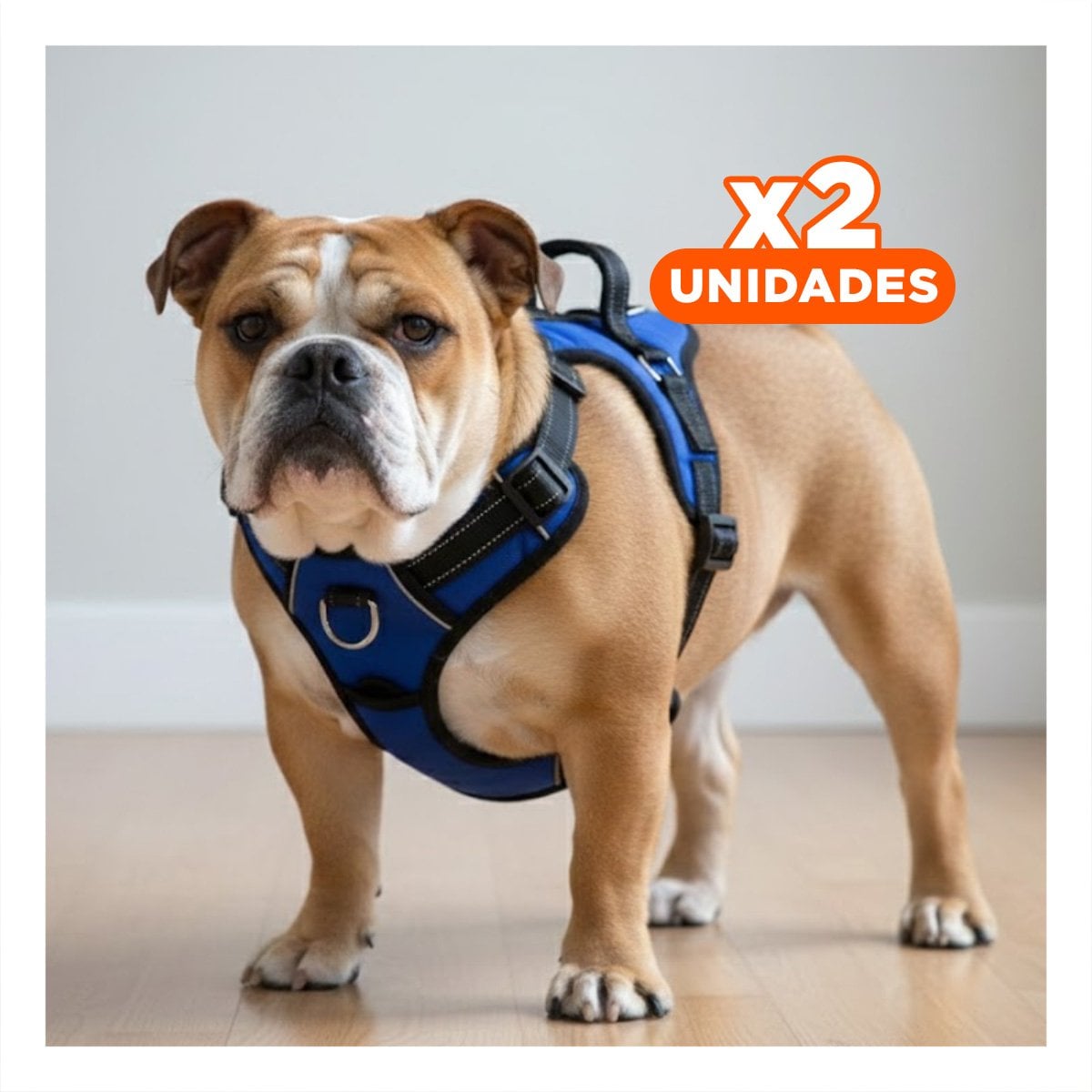 PACK2 ARNES COMODO EN H PARA PERRO TALLA M CON CONTROL AZUL - 1