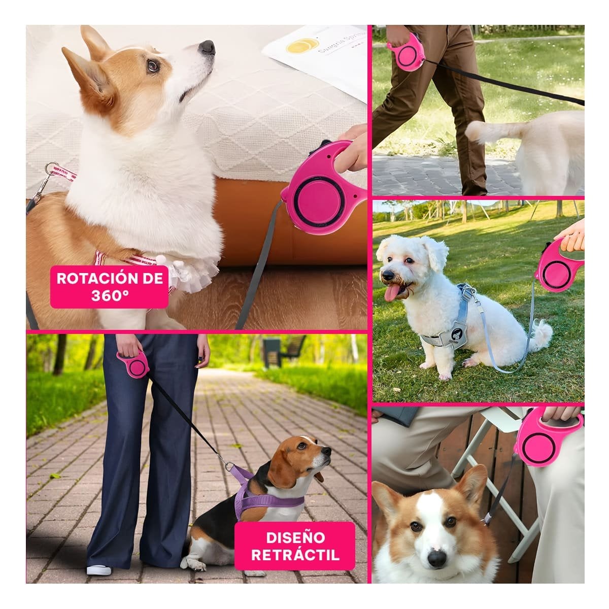 CUERDA RETRACTIL PARA MASCOTAS RESISTENTE Y SEGURA CON CIRCULO NEGRO FUCSIA - 2